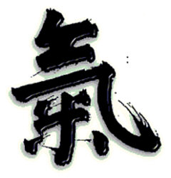 Ki und Aikido-Dojo Köln e.V.